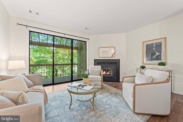 11116 Boathouse Ct Unit 93, Reston, VA 20191 - living room featuring wood finished floors, a fireplace with flush hearth, and baseboards