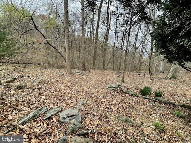 view of nature with a wooded view