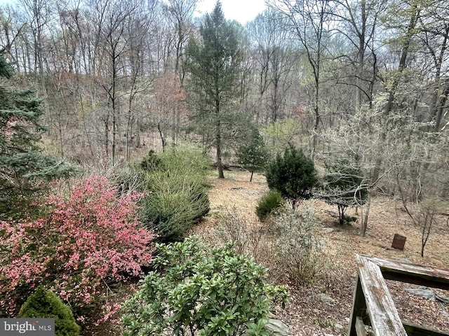 view of local wilderness