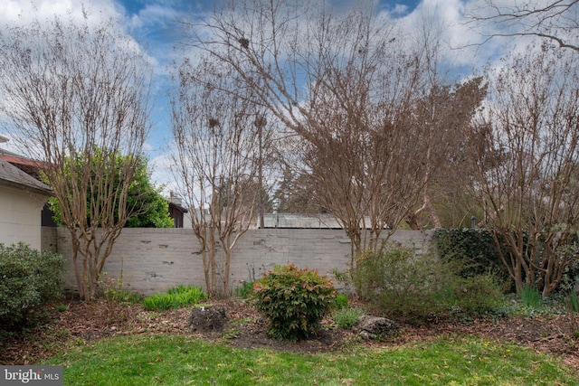 view of yard featuring a fenced backyard