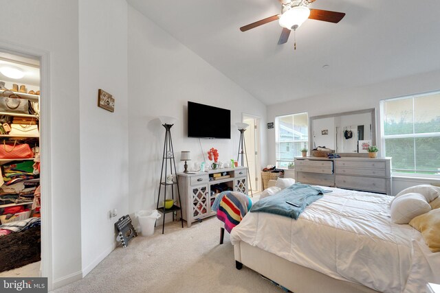 carpeted bedroom featuring a spacious closet, lofted ceiling, a closet, and a ceiling fan