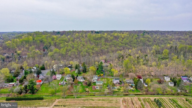 birds eye view of property featuring a wooded view