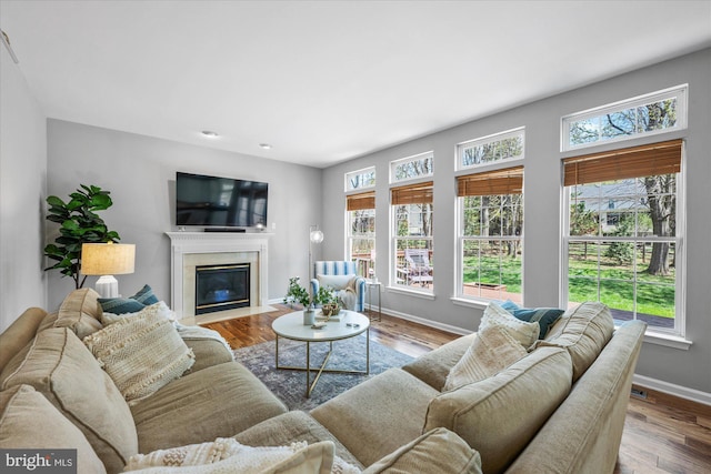 living room with wood finished floors, a premium fireplace, and baseboards