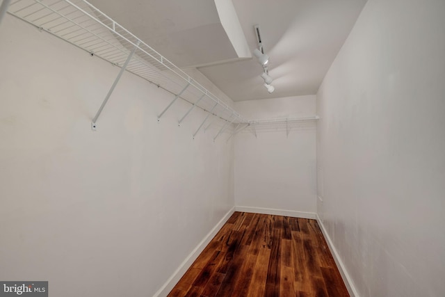 1465 N Van Dorn St, Alexandria, VA 22304 - walk in closet with dark wood finished floors