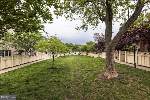 1465 N Van Dorn St, Alexandria, VA 22304 - view of yard with fence