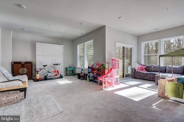 living room featuring carpet floors