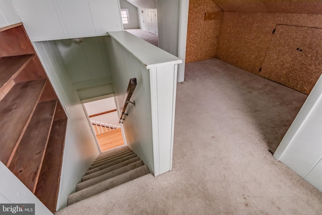 stairs featuring carpet flooring