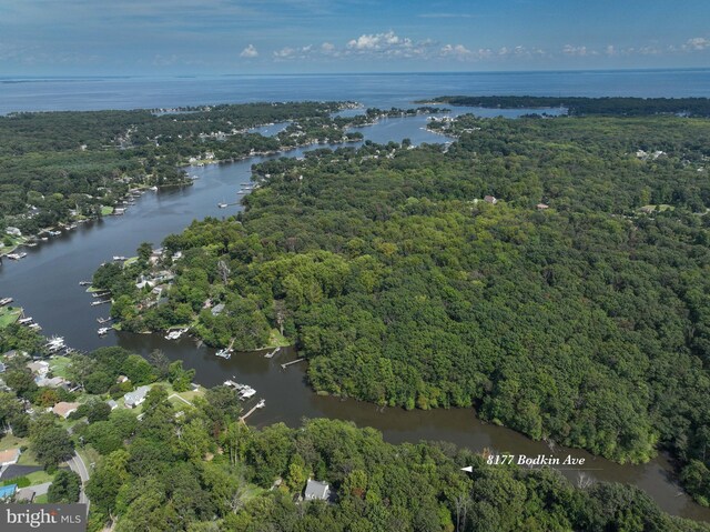 8177 Bodkin Ave, Pasadena, MD 21122 - birds eye view of property with a water view and a wooded view