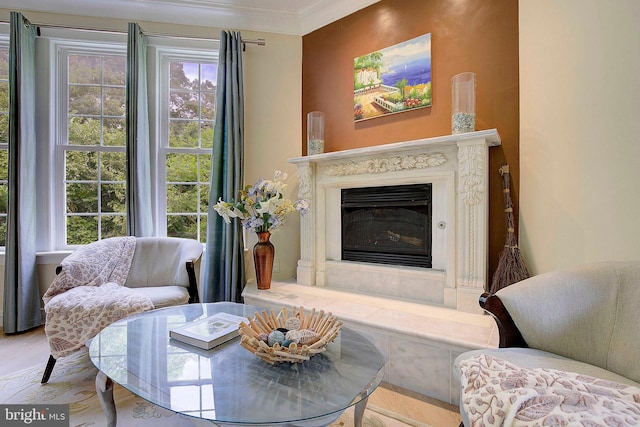 8177 Bodkin Ave, Pasadena, MD 21122 - sitting room featuring crown molding and a glass covered fireplace
