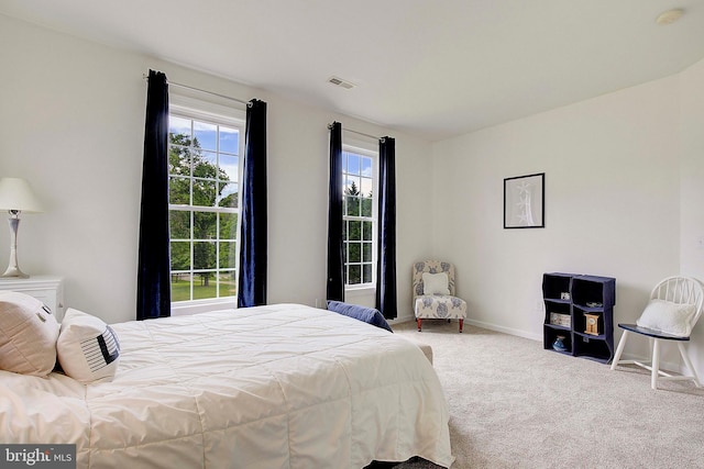8177 Bodkin Ave, Pasadena, MD 21122 - bedroom featuring visible vents, carpet, baseboards, and multiple windows