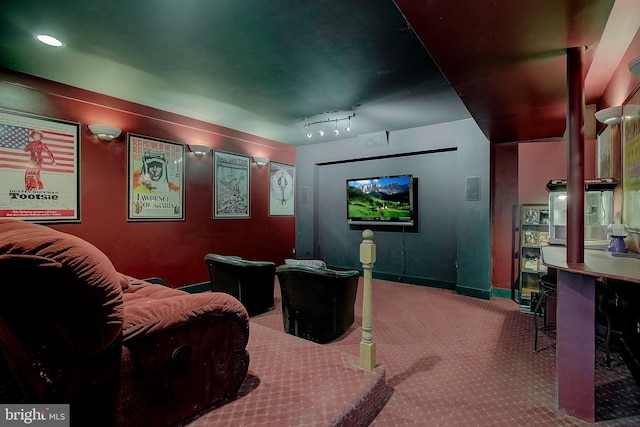 8177 Bodkin Ave, Pasadena, MD 21122 - cinema with baseboards and carpet flooring