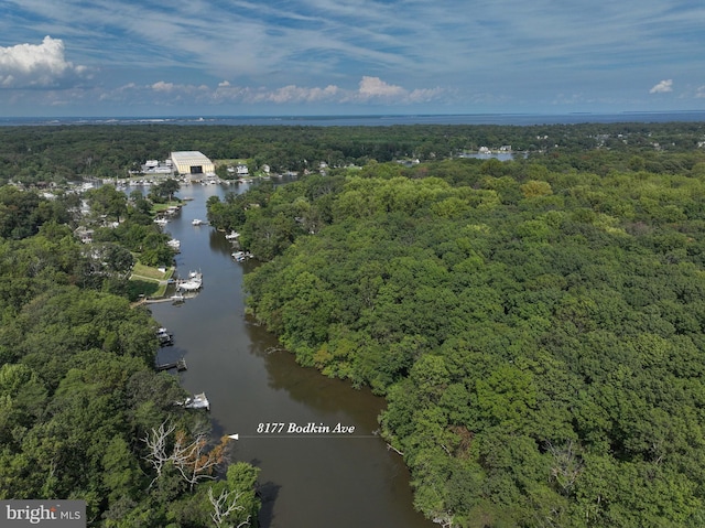8177 Bodkin Ave, Pasadena, MD 21122 - bird's eye view with a water view and a view of trees