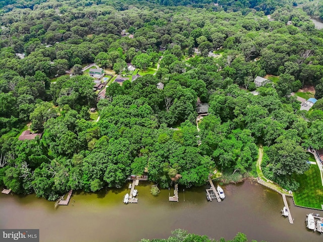 8177 Bodkin Ave, Pasadena, MD 21122 - birds eye view of property with a water view and a forest view