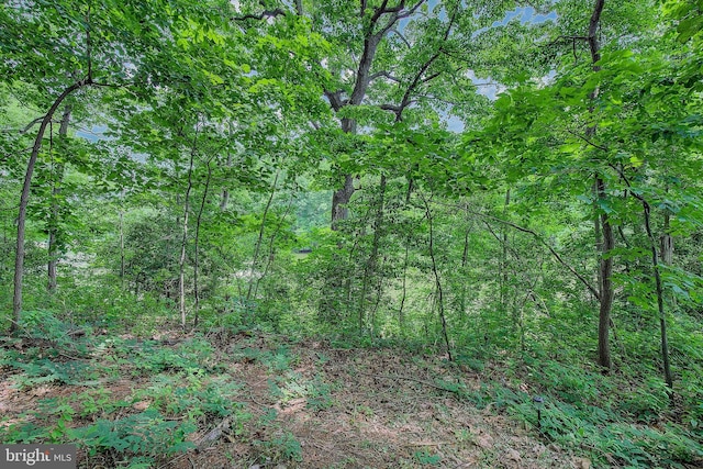 8177 Bodkin Ave, Pasadena, MD 21122 - view of local wilderness with a wooded view