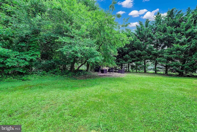 8177 Bodkin Ave, Pasadena, MD 21122 - view of yard