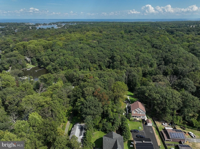 8177 Bodkin Ave, Pasadena, MD 21122 - drone / aerial view with a water view and a forest view