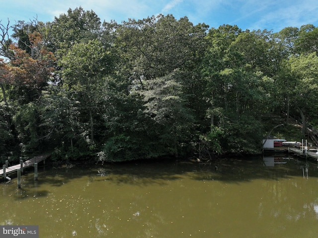 8177 Bodkin Ave, Pasadena, MD 21122 - exterior space with a boat dock