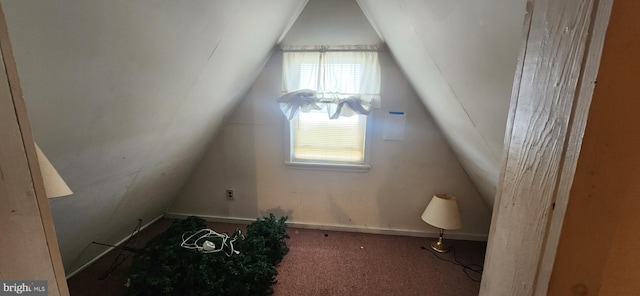 8323 Bear Creek Dr, Baltimore, MD 21222 - bonus room with vaulted ceiling and carpet floors