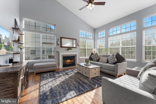 living room with a fireplace with flush hearth, wood finished floors, a ceiling fan, and high vaulted ceiling
