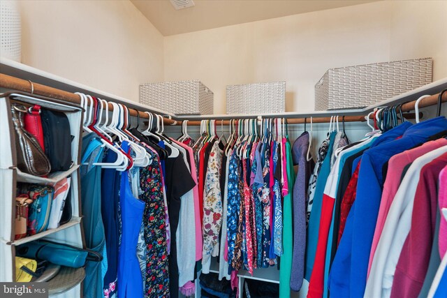view of walk in closet