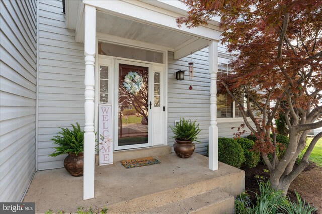 view of doorway to property