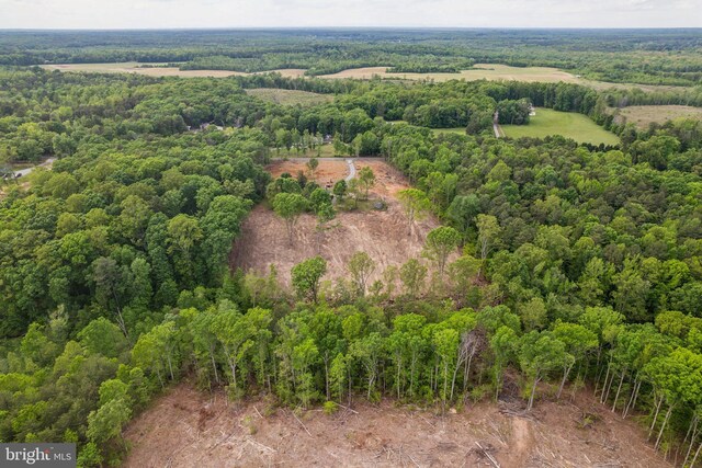 19316 Landora Bridge Rd, Ruther Glen, VA 22546 - drone / aerial view of a forest