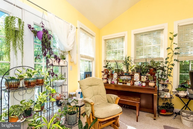 sitting room with carpet, lofted ceiling, and a wealth of natural light