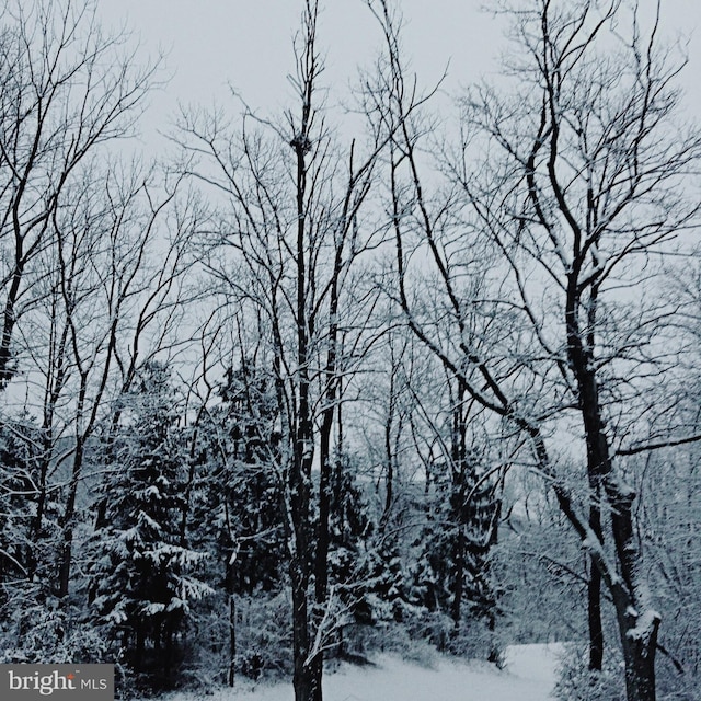 view of snowy view