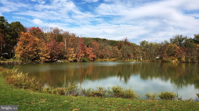 property view of water featuring a forest view