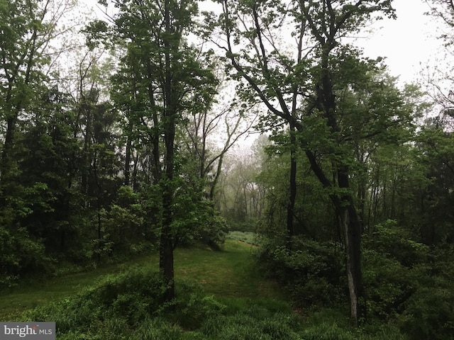 view of local wilderness with a forest view