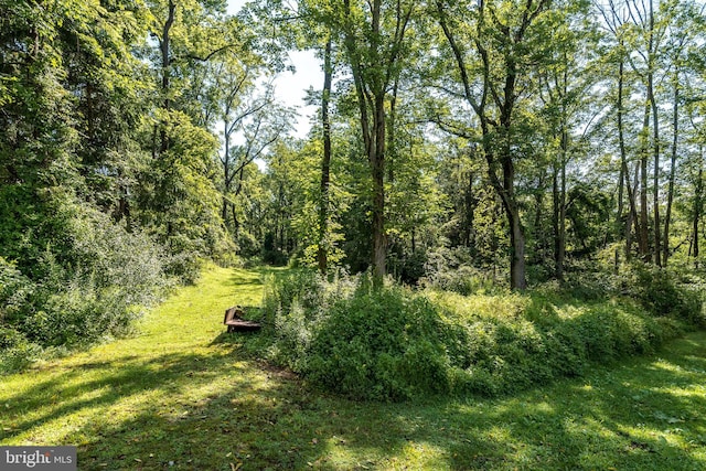 view of nature with a wooded view