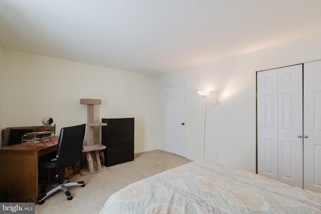 bedroom with carpet flooring and a closet