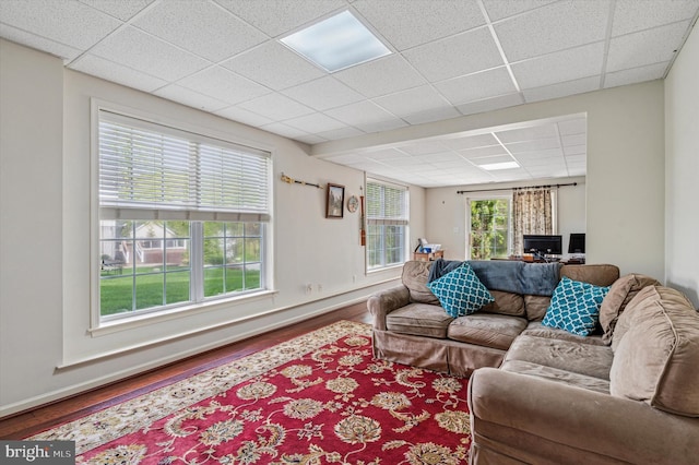 100 Fernwood Dr, Avondale, PA 19311 - living room featuring baseboards, a paneled ceiling, and wood finished floors
