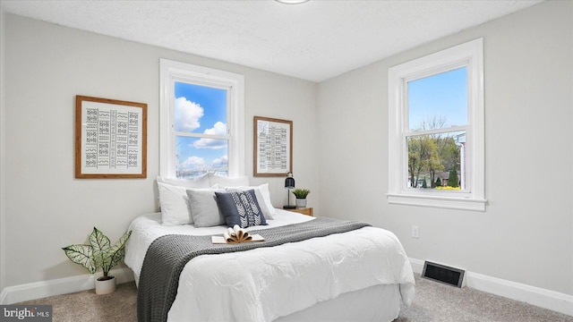 2910 Salisbury Ave, Baltimore, MD 21219 - bedroom with a textured ceiling, baseboards, carpet, and visible vents