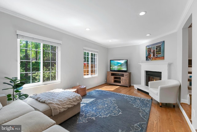 10945 Harpers Square Ct, Reston, VA 20191 - living area featuring ornamental molding, a glass covered fireplace, wood finished floors, recessed lighting, and baseboards