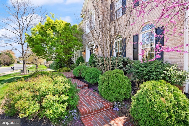 43005 Running Ridge Way, Leesburg, VA 20176 - view of yard