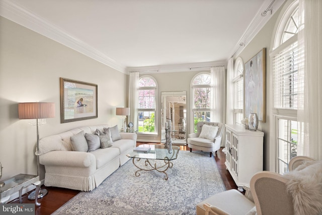 43005 Running Ridge Way, Leesburg, VA 20176 - living room with dark wood-style flooring and crown molding