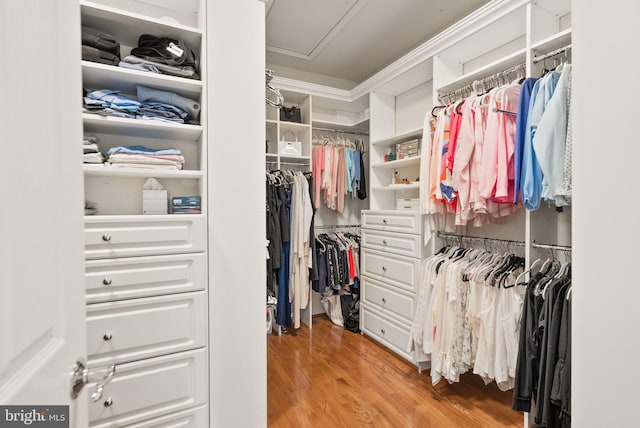 43005 Running Ridge Way, Leesburg, VA 20176 - walk in closet with attic access and wood finished floors
