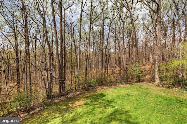 view of yard with a wooded view