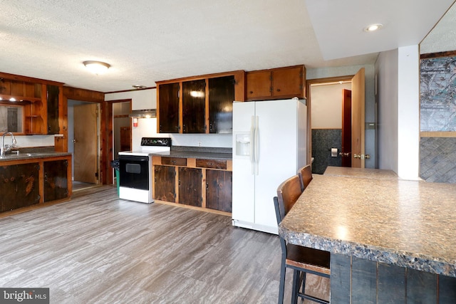2447 General Potter Hwy, Centre Hall, PA 16828 - kitchen with under cabinet range hood, a sink, light wood-style floors, electric range oven, and white fridge with ice dispenser