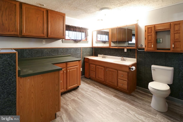 2447 General Potter Hwy, Centre Hall, PA 16828 - bathroom featuring wood finished floors, a sink, and a textured ceiling