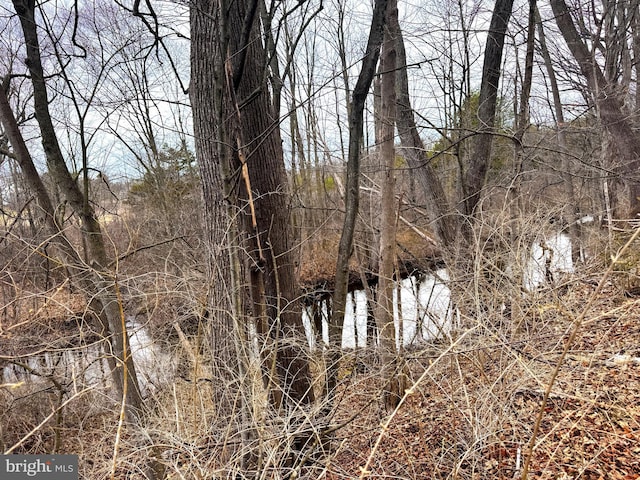 2447 General Potter Hwy, Centre Hall, PA 16828 - view of local wilderness