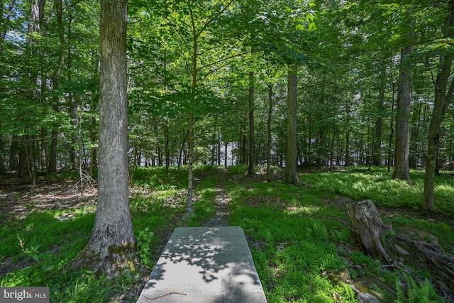 1419 Sandy Shores Rd, Mc Henry, MD 21541 - view of yard