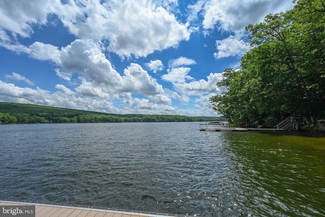 1419 Sandy Shores Rd, Mc Henry, MD 21541 - view of water feature featuring a floating dock and a forest view