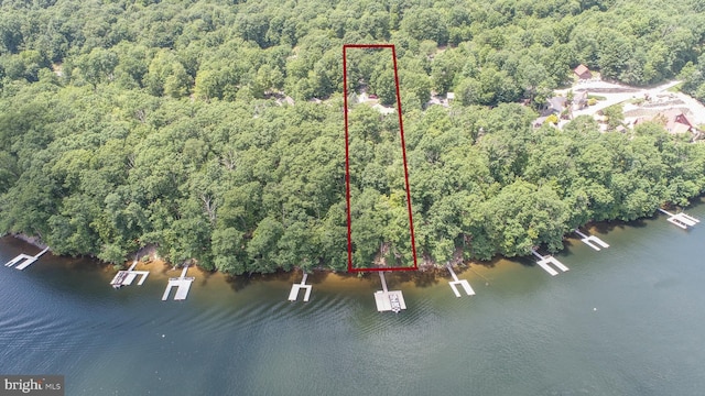 1419 Sandy Shores Rd, Mc Henry, MD 21541 - drone / aerial view with a water view and a forest view