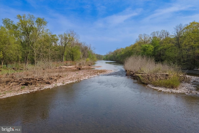 property view of water with a forest view