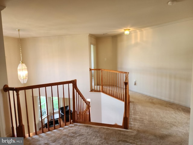 staircase featuring baseboards, crown molding, and carpet