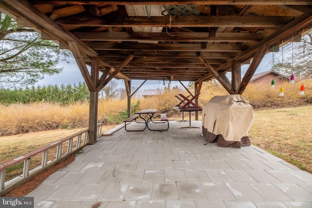 view of patio / terrace with a grill