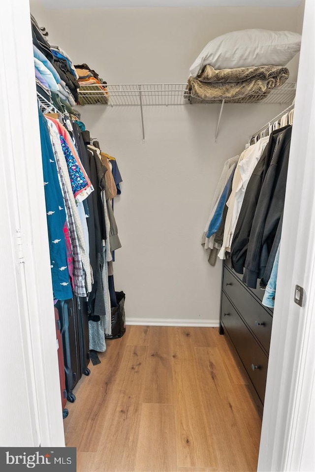 walk in closet featuring wood finished floors