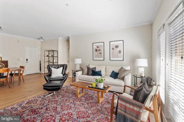living room featuring light wood finished floors and ornamental molding